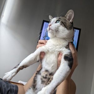 Meet your Posher, Austin